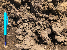 Load image into Gallery viewer, Unscreened Topsoil Soils Florida Ltd 
